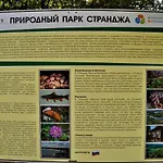 In Kavatsi H1