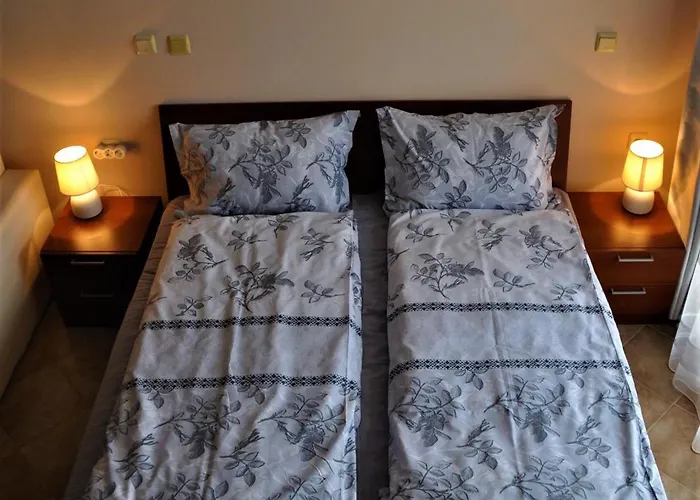 Private In Kavatsi 公寓 索佐波尔